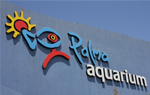 Palma Aquarium 