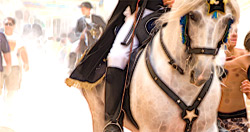 Праздник Fiestas de Sant Martí