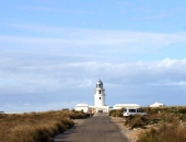 Маяк Cavalleria
