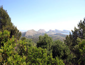 Трекинг Puig de Maria