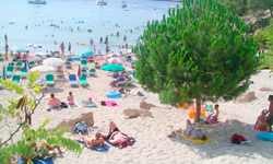 Пляж s’Arenal Gran, Ibiza