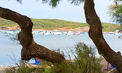 Пляж Es Grau, Menorca