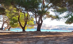 Пляж Cala Agulla, Mallorca