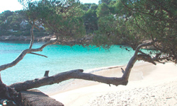 Пляж Caló des Pou, Mallorca