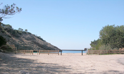 Пляж Cala Molí, Ibiza