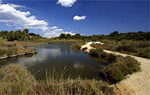 Экскурсия из парка Parque Natural de la Albufera des Grau до мыса Favàritx