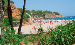Пляж Cala Llenya, Ibiza