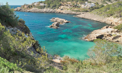 Пляж Cala Olivera, Ibiza