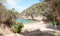 Пляж Cala Xuclà, Ibiza