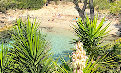 Пляж Cala Mitjana, Mallorca