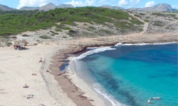 Пляж Cala Torta, Mallorca