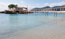 Пляж Platja de Camp de Mar, Mallorca