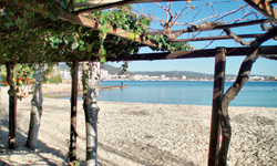 Пляж Punta Pinet, Ibiza