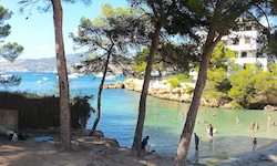 Пляж Caló d’en Pellicer, Mallorca