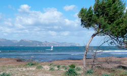 Пляж Can Cap de Bou, Mallorca