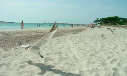 Пляж Platja d’es Carbó, Mallorca