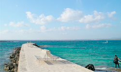 Пляж Platja d’es Coto, Mallorca