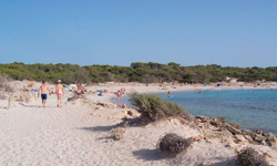Пляж Platja d’es Pregons Petits, Mallorca
