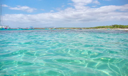 Пляж Platja d’es Pregons Petits, Mallorca