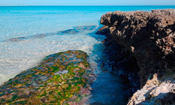 Пляж Platja de Punta Prima, Menorca