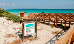 Пляж Platja de Muro – Es Comú, Mallorca