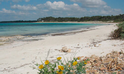 Пляж Platja d’es Dolç, Mallorca