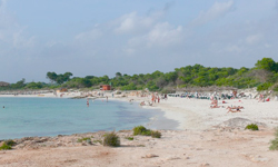 Пляж Platja d’es Dolç, Mallorca