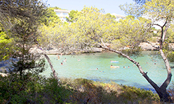 Пляж Caló des Homos Morts, Mallorca