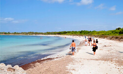 Platja de Son Saura Bellavista