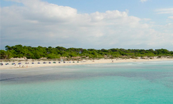 Пляж S’Arenal de sa Ràpita, Mallorca