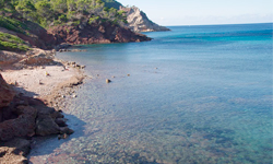 Пляж Platja de Son Bunyola, Mallorca