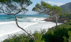 Пляж Platja de Son Bunyola, Mallorca