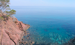 Пляж Platja de Son Bunyola, Mallorca