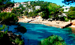 Пляж Cala Marmassen, Mallorca