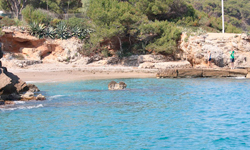 Пляж Cala Rotja, Mallorca