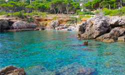 Пляж Cala Rotja, Mallorca