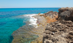 Пляж Platja de s’Algar, Mallorca