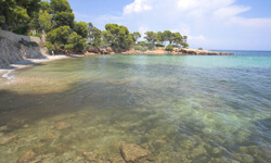 Пляж Platja de Son Caliu, Mallorca