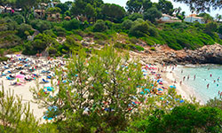 Пляж Cala Anguila, Mallorca