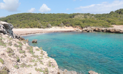 Пляж Cala Matzoc, Mallorca