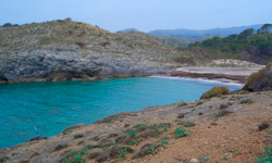 Пляж Cala Matzoc, Mallorca