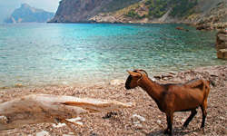 Пляж Cala Bóquer, Mallorca