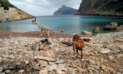 Пляж Cala Bóquer, Mallorca