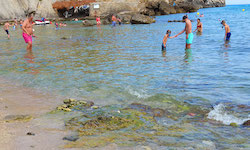 Пляж Cala Barques, Mallorca