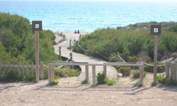 Пляж Arenals, Formentera
