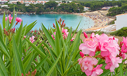 Пляж S’Arenal des Castell, Menorca