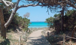 Пляж Cala d’en Borrаs, Formentera