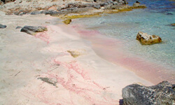 Пляж Platja de Llevant, Formentera