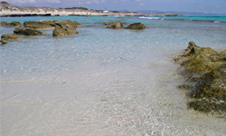 Пляж Platja de Llevant, Formentera