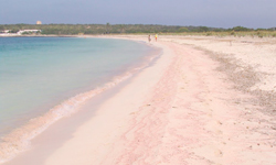 Пляж Racó de s’Alga, Formentera